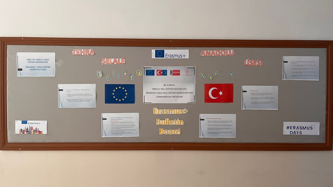 Erasmus Tanıtımı Okul Panomuz